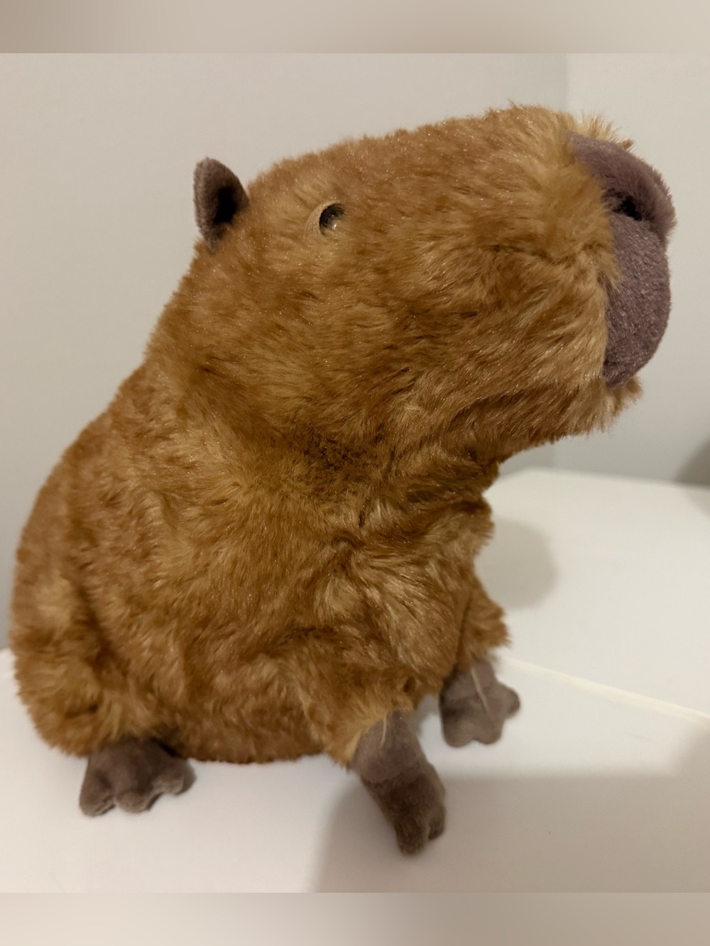 Jellycat Clyde capybara